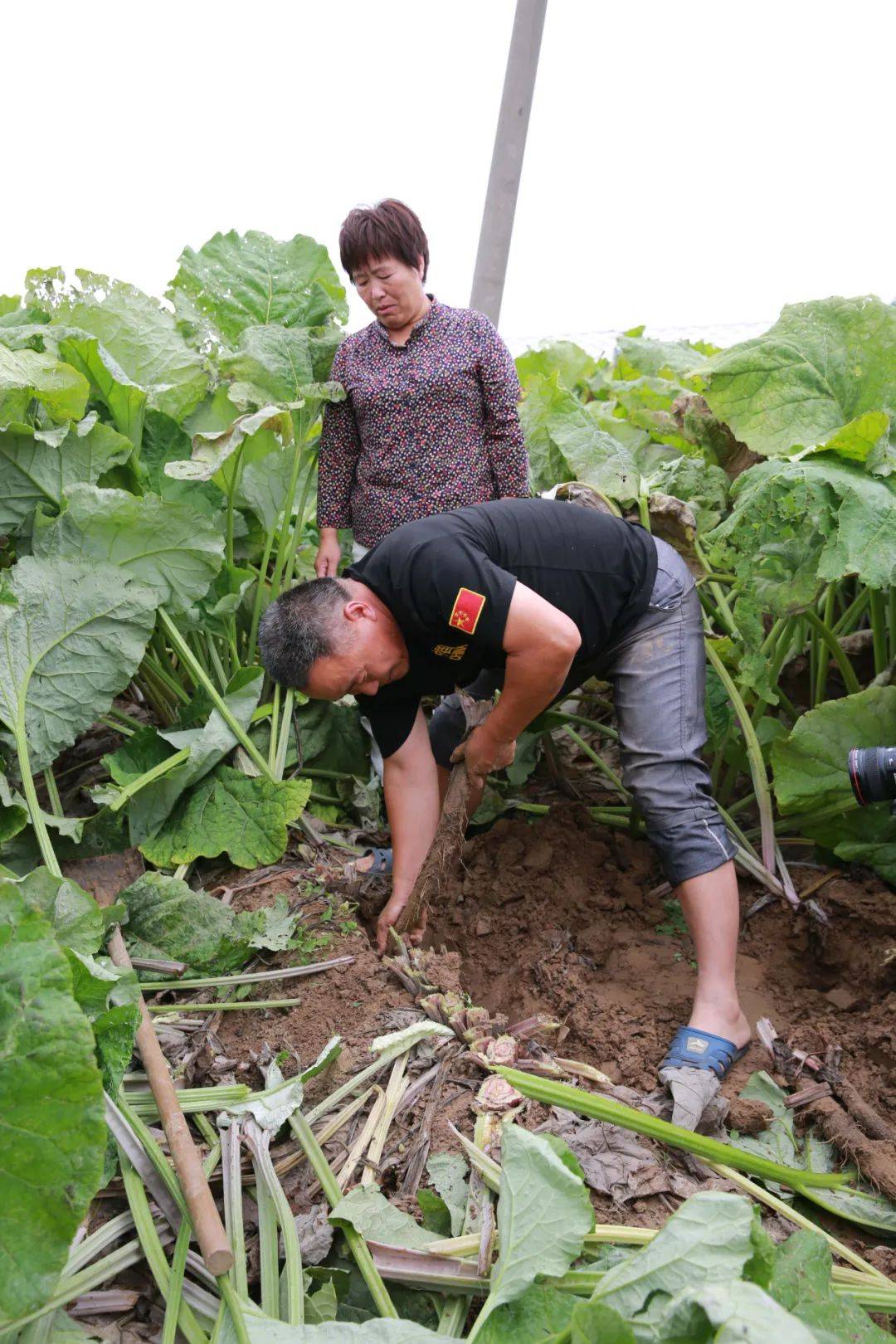 漆河村民委员会发展规划概览，迈向未来的蓝图