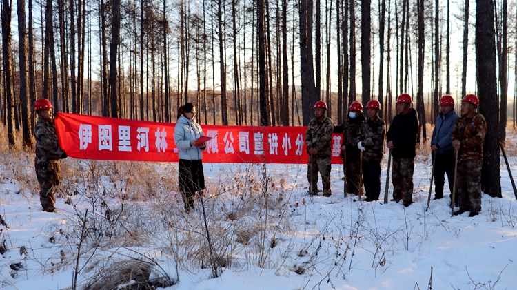 伊敏林场绿色发展先锋，最新新闻动态报道