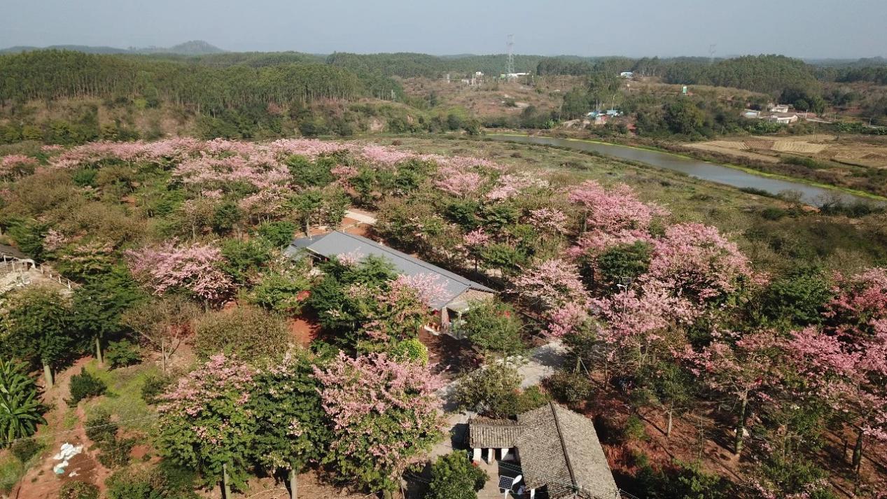 东源县体育局最新项目，引领地区体育事业迈向新高度