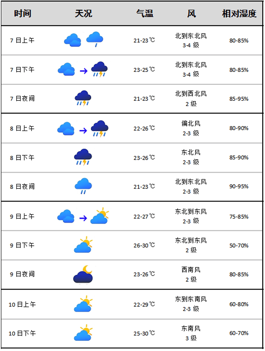 2024年12月10日 第26页