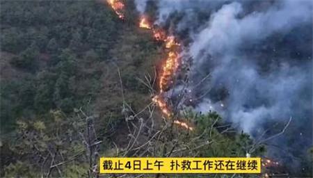 观山村委会全新发展规划揭晓