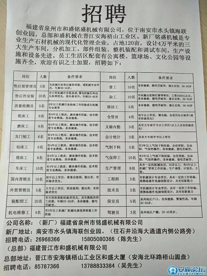 金确村最新招聘信息总览