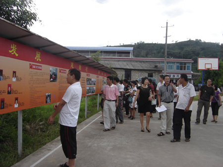 泰柳村委会最新动态报道