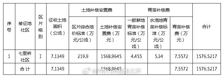 樊城区人民政府办公室最新发展规划概览