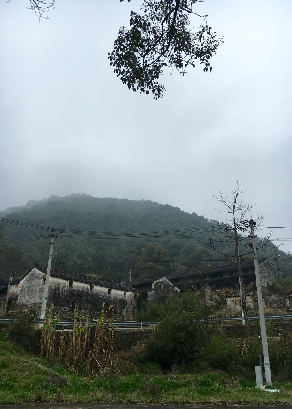 阿砂村天气预报更新通知