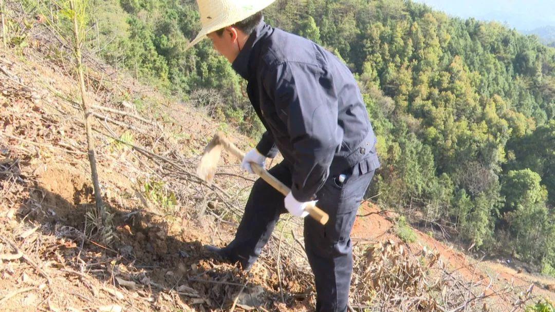 国有林场管理局最新发展规划概览