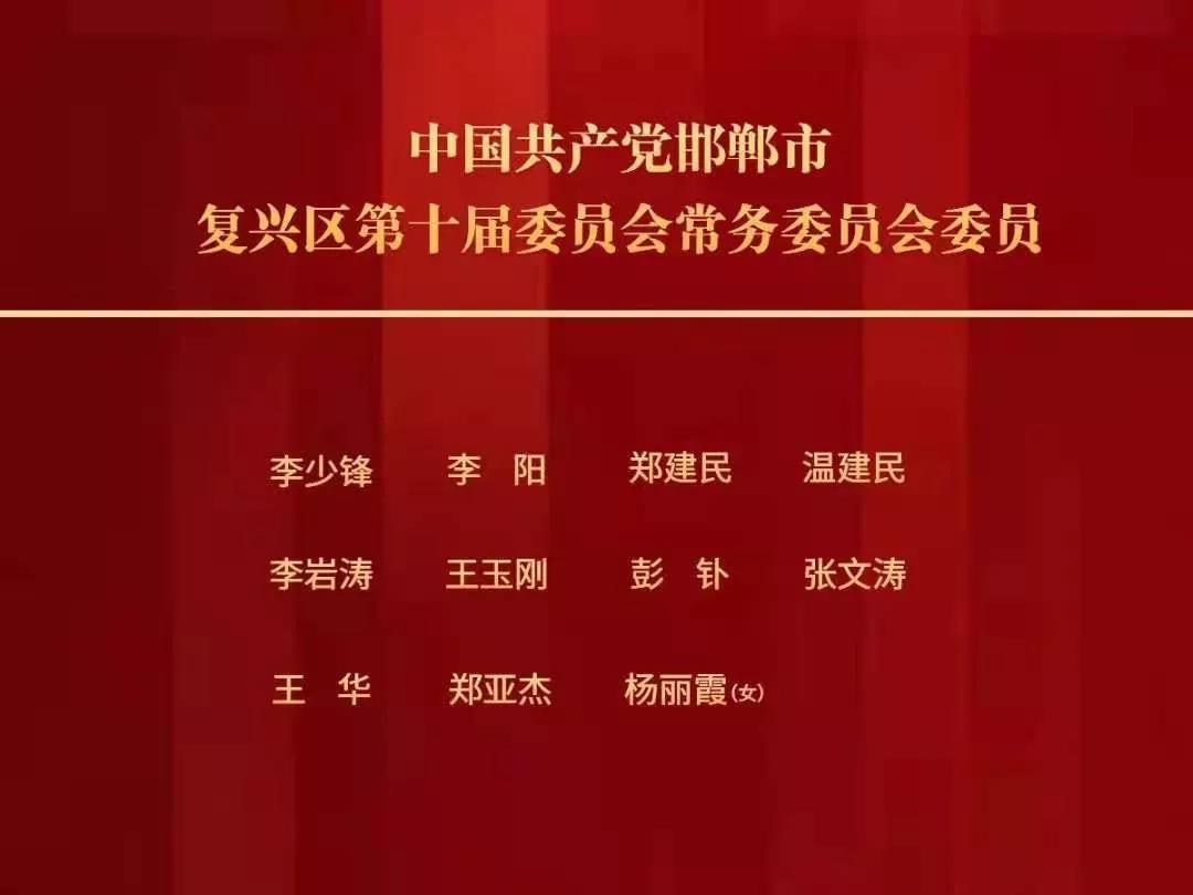 县最新人事任命动态概览