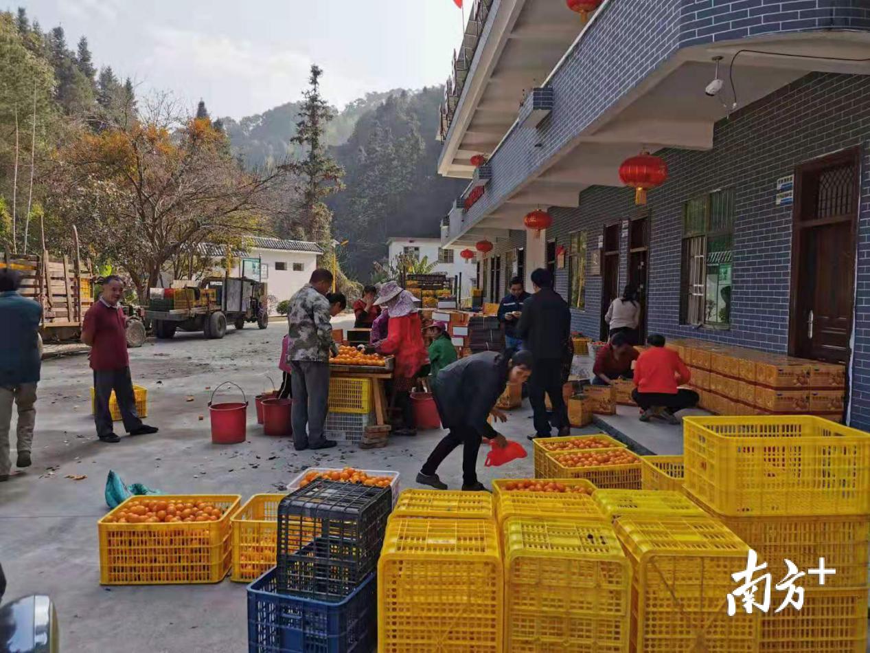 仁化县住房和城乡建设局领导团队全新亮相，未来工作展望与城市规划新篇章