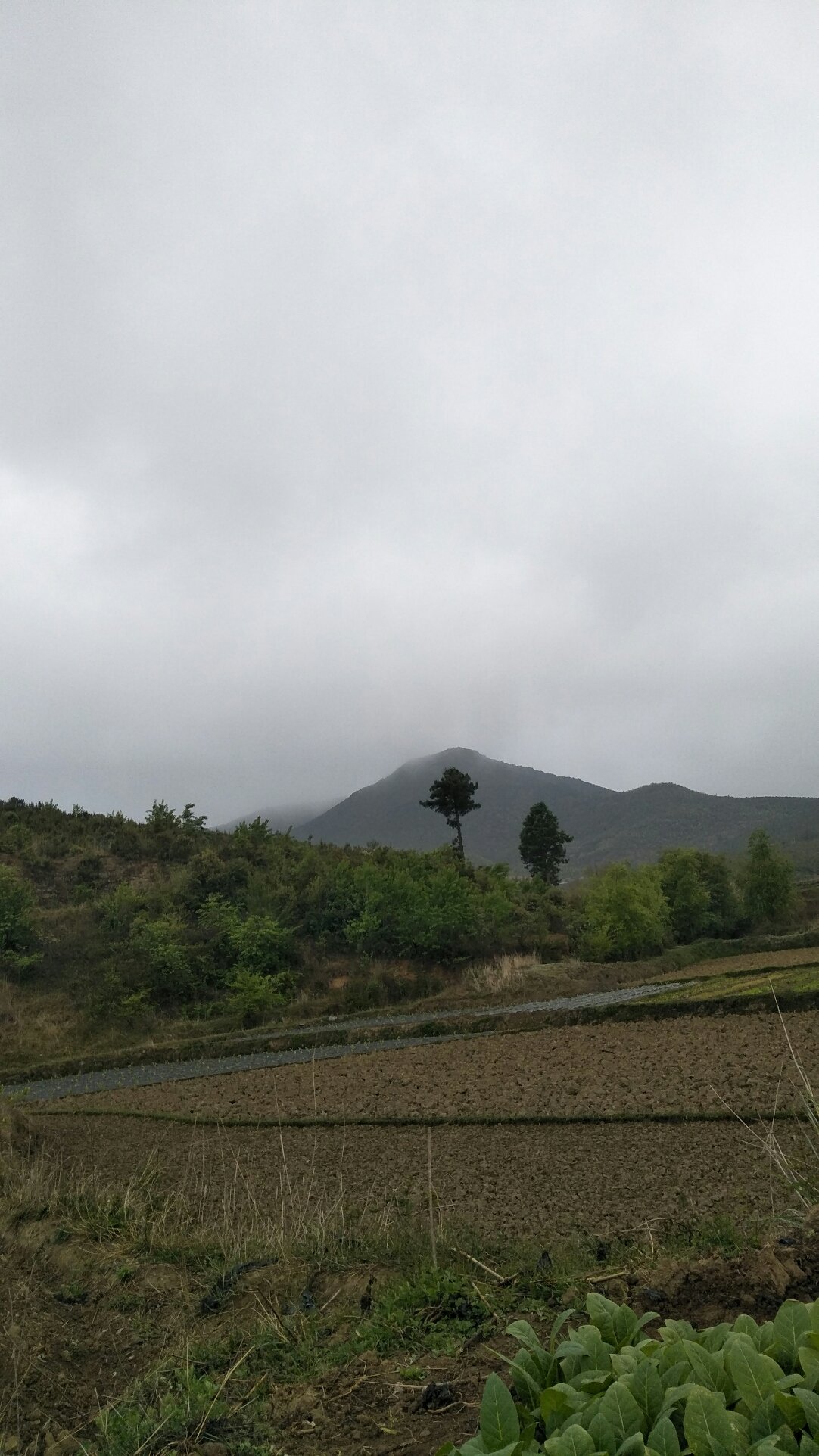 寺沟乡天气预报更新通知