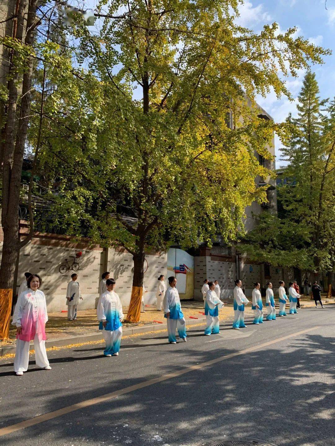 银杏路社区重塑未来，打造宜居新标杆项目启动