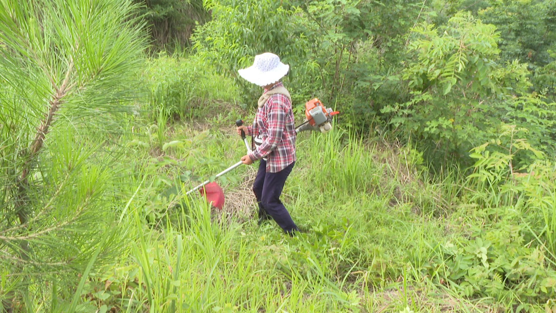 浠水县水利局发展规划，构建可持续水生态系统，推动县域经济繁荣新篇章