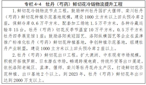 洛阳市食品药品监管局最新项目助力健康洛阳建设，筑牢食品药品安全防线